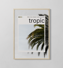 tropic Polaroid | Poster
