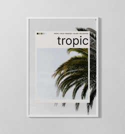 tropic Polaroid | Poster
