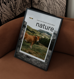 nature Polaroid | Poster