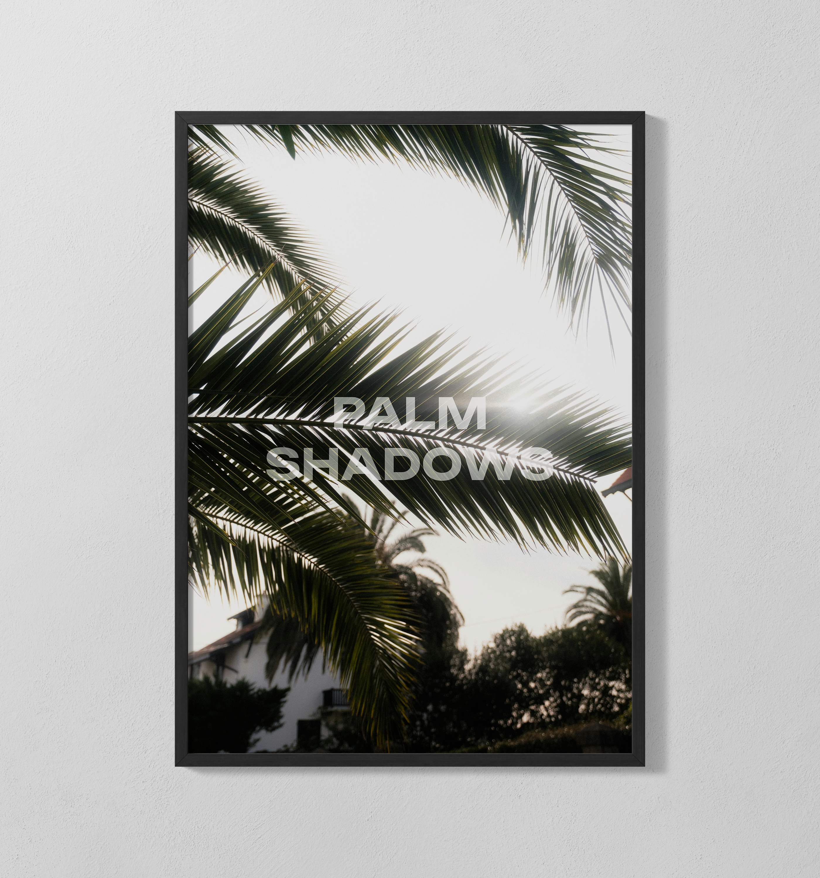 Palm Shadows | Poster