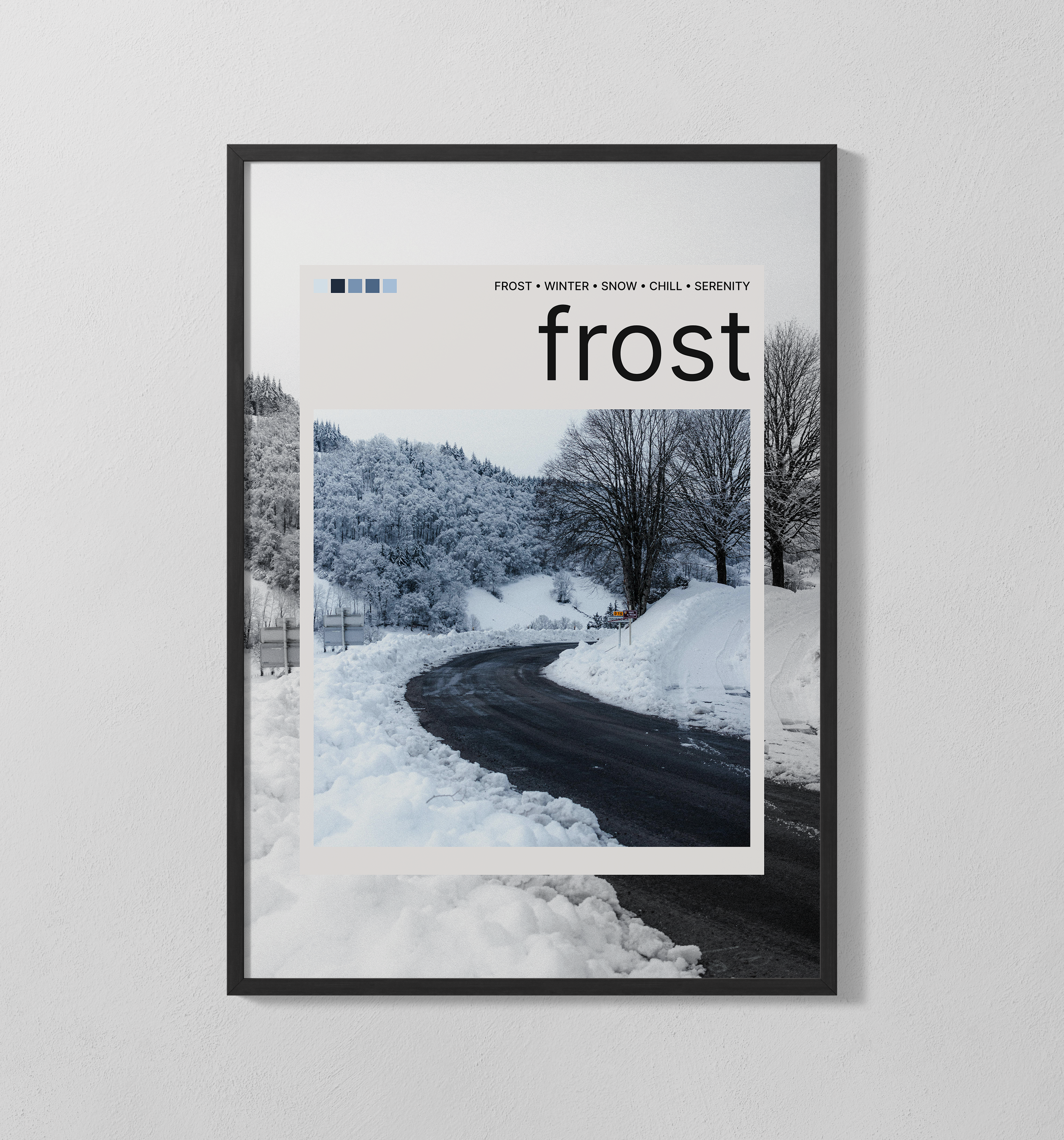 frost Polaroid | Poster