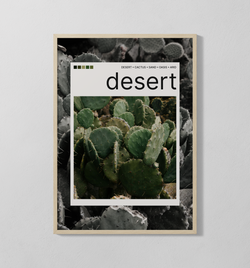 desert Polaroid | Poster