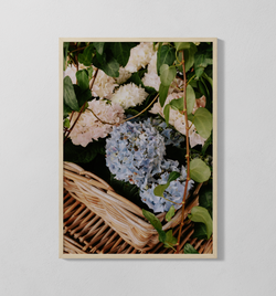 Hortensien | Poster
