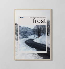 frost Polaroid | Poster