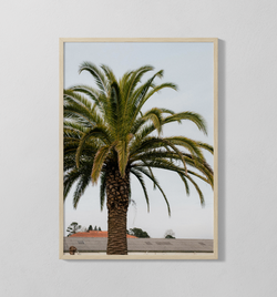 Palme | Poster