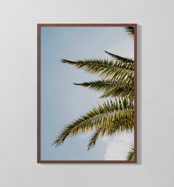 Palmen | Poster