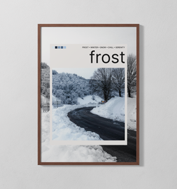 frost Polaroid | Poster