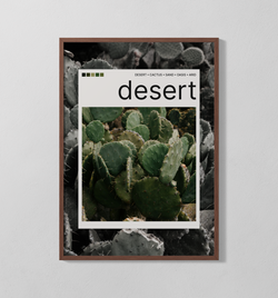 desert Polaroid | Poster