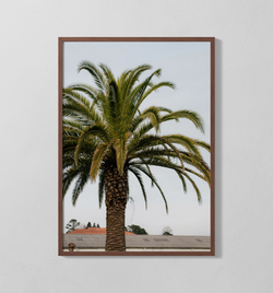 Palme | Poster