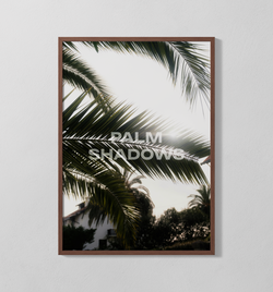 Palm Shadows | Poster