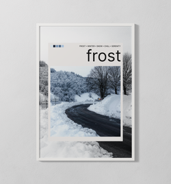frost Polaroid | Poster