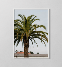 Palme | Poster