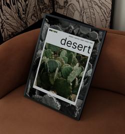 desert Polaroid | Poster