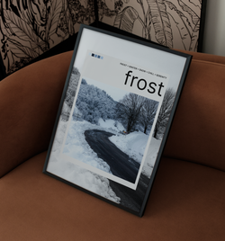 frost Polaroid | Poster