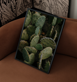 Kaktus | Poster